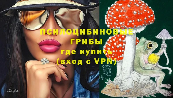 МДПВ Арсеньев
